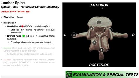 prone torsion test|torsion test pdf.